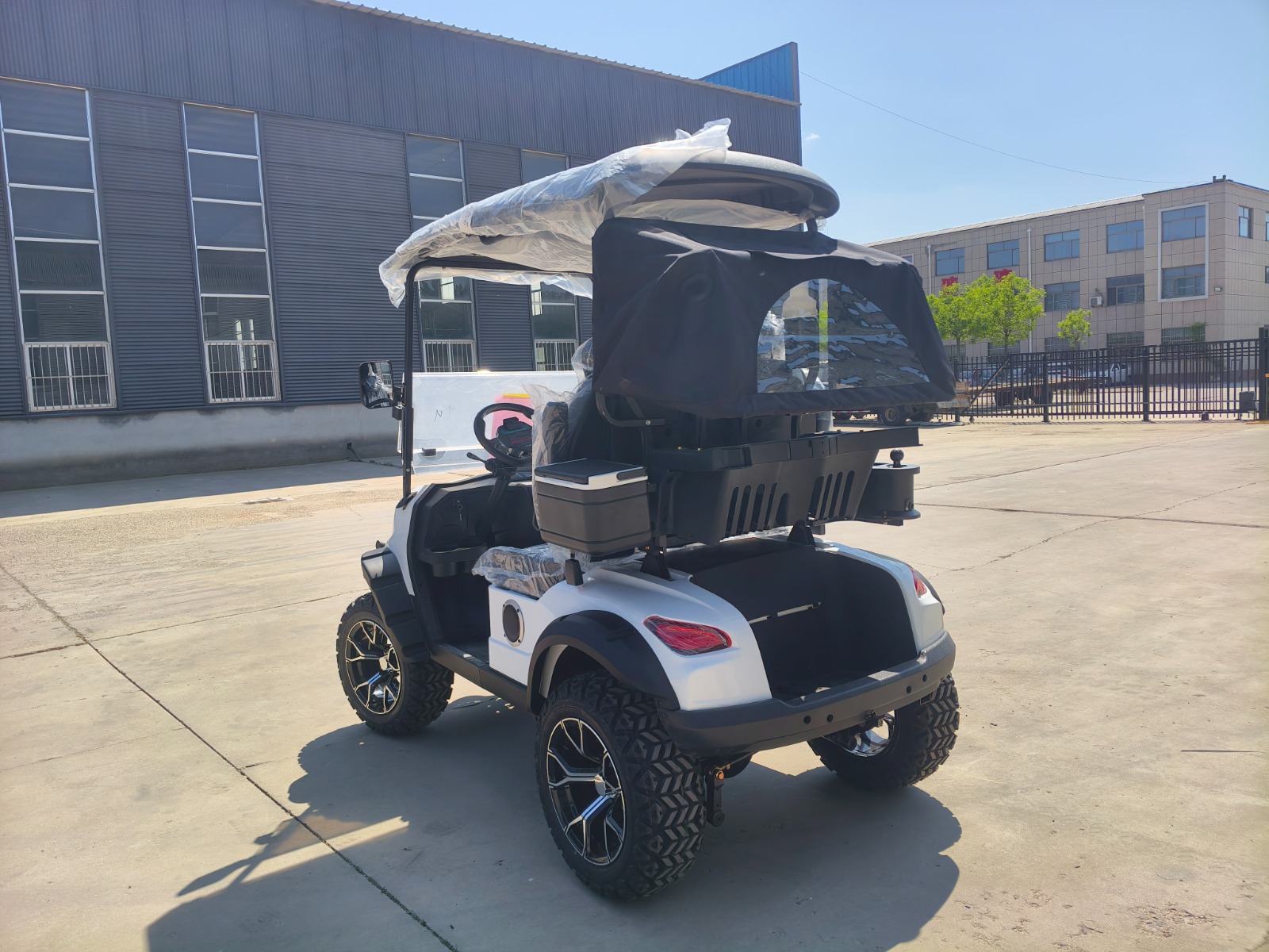 2-Seater Golf Cart – View 3